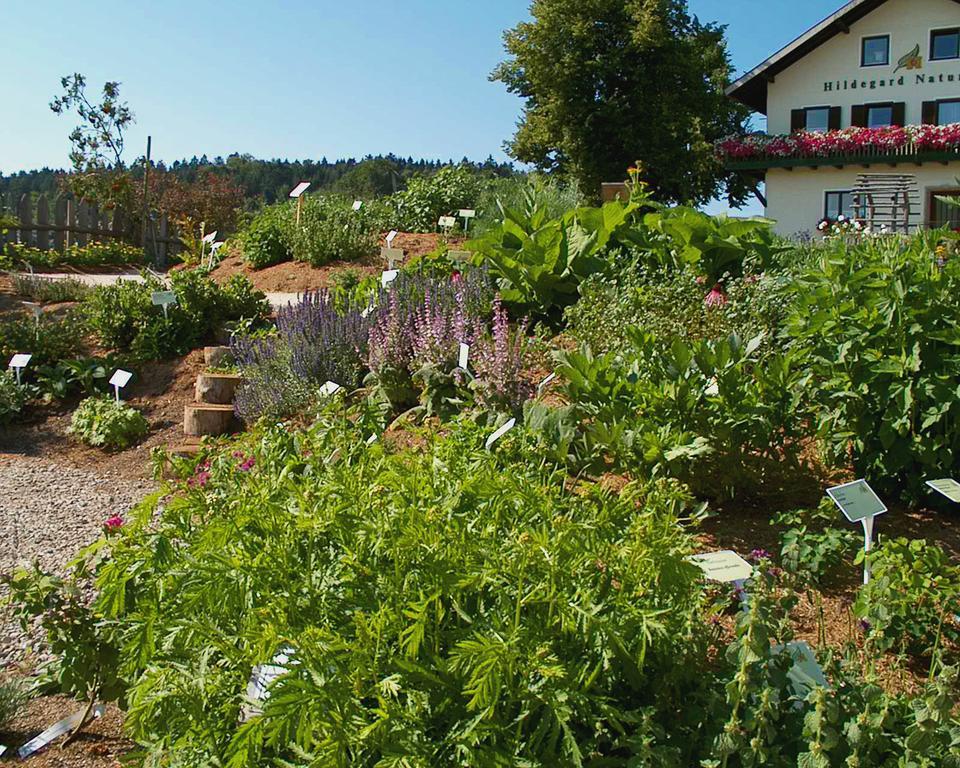 Hildegard Naturhaus Kirchberg bei Mattighofen Exteriör bild